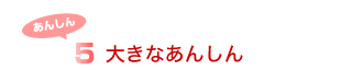 5.大きなあんしん